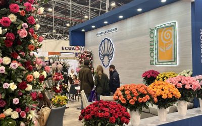 Proflora 2025: Explore. Connect. Experience the Magic.