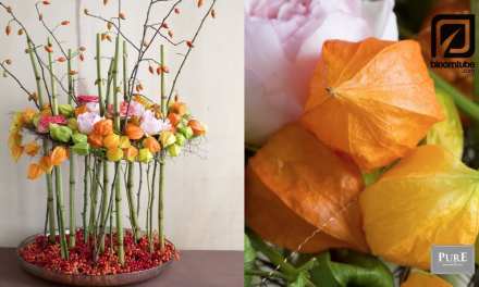 Autumn floral design with garden roses, rose hips and physalis.