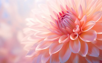 Using Cut Flowers to Improve Emotional Health