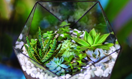 New Survey Reveals U.S. Floriculture Industry’s Push Toward Sustainability—and the Opportunities Ahead