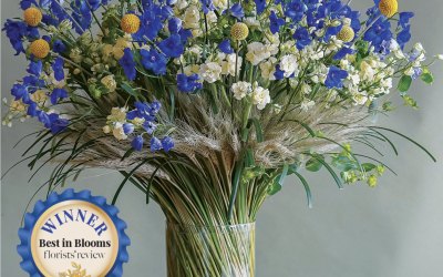 Best in Blooms Contest 2025