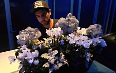 Business at Eagle Rock and Silver Lake flower shops continue to bloom amid pandemic