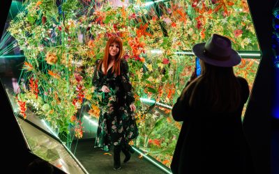 Do You Have What It Takes for a Really Big Show?