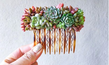 Sublime Succulent Wearables