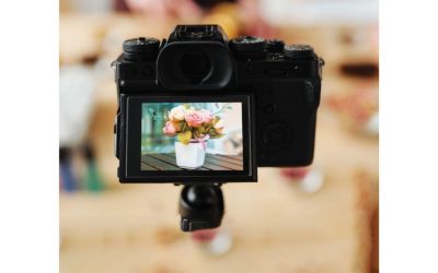 Flower Photography Guide