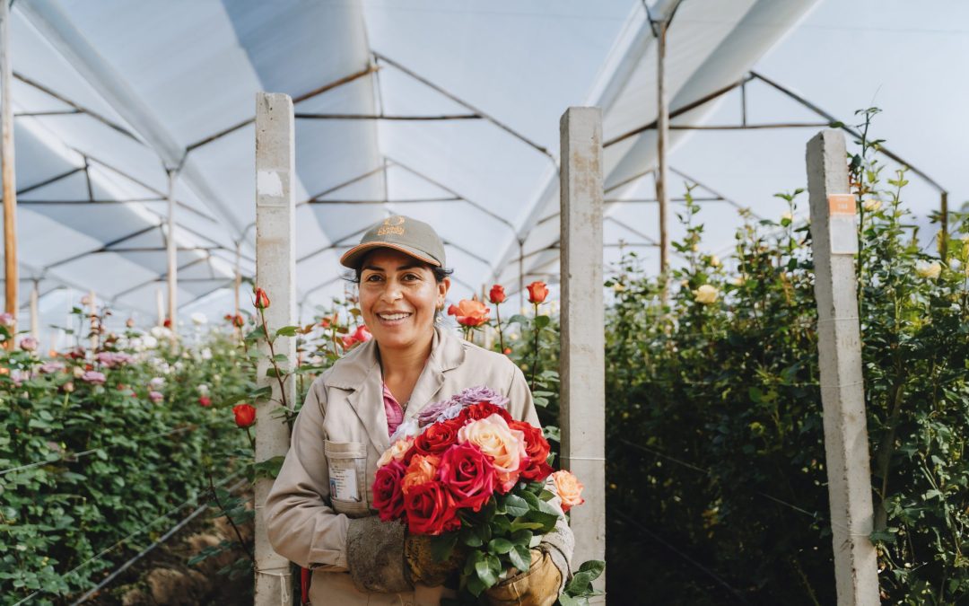 Seed Breeding for Healthy Resistance