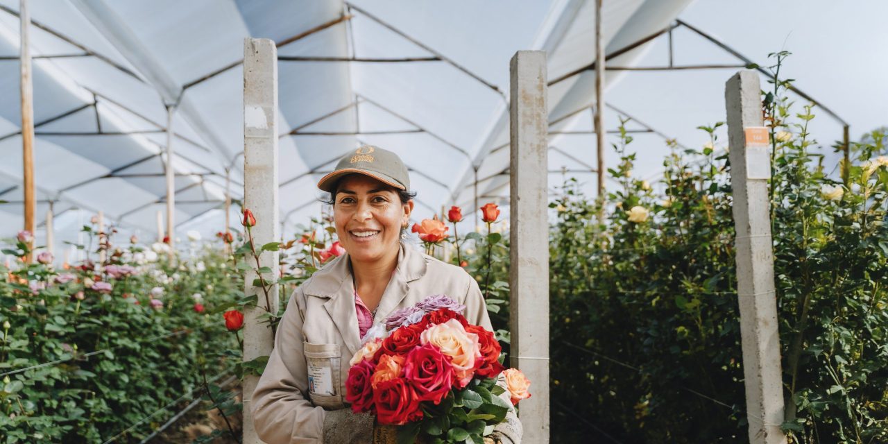 Seed Breeding for Healthy Resistance