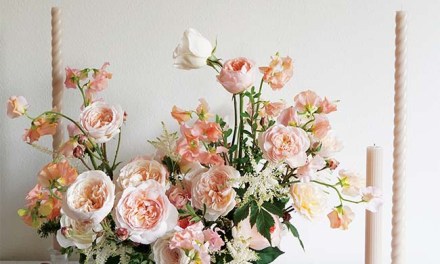 2022 “Garden Rose Design Contest” Winners