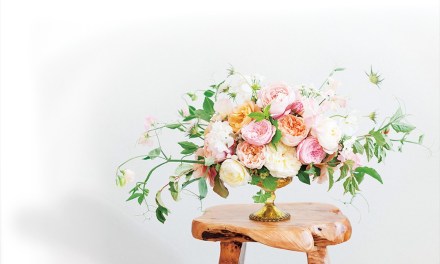 Alexandra Farms 2021 Winners of the  Garden Rose Design Contest