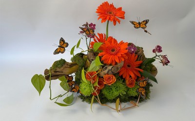 Blossoms and Butterflies