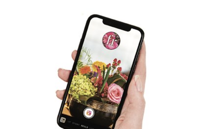 Using Instagram’s Newest Features