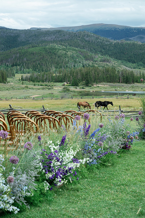 figment Floral Jennawren Photo