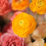 2025 Readers’ Choice Awards: Celebrating Your Favorites