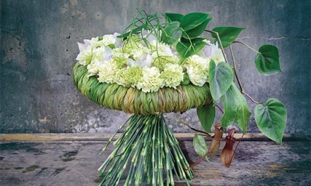 International Design Stars