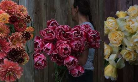 Instagrammer Of The Month