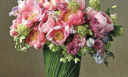 Top Ten Social Stars of 2021