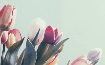 You Have to Ask for the Sale