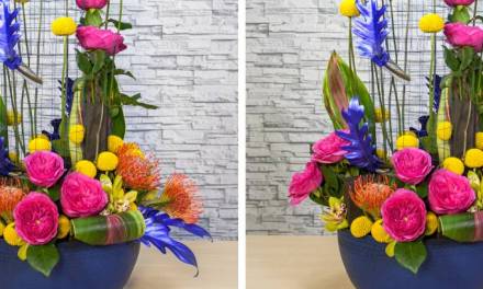 Vertical Cityscape Garden