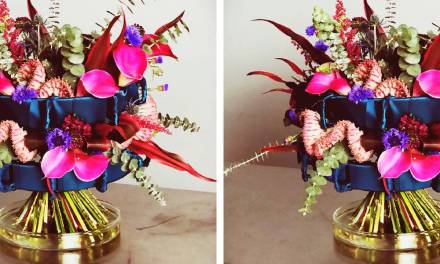 Q&A – Jane DeMarco