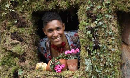 Friendly Flower Fight