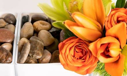 Let’s Get Horizontal