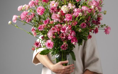 Award-Winning Dolce Leads Floraprima’s Natura Moderna Collection to Global Recognition