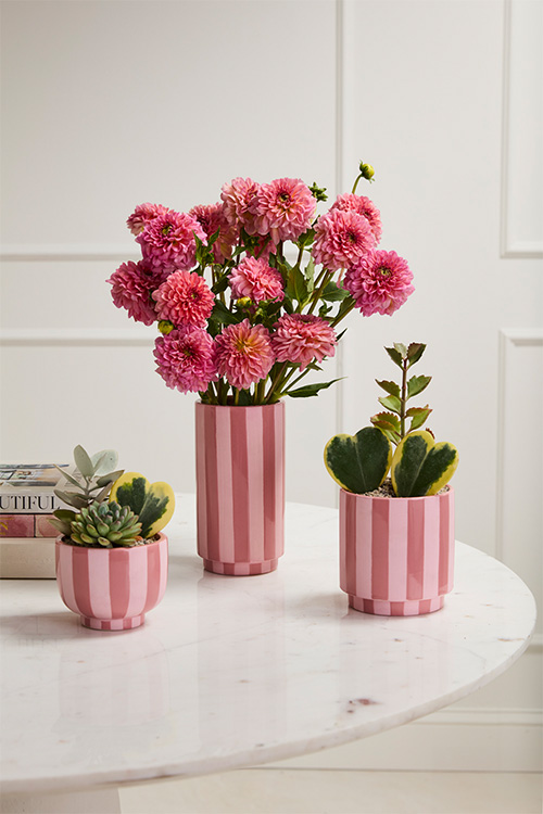pink striped containers by accent decor