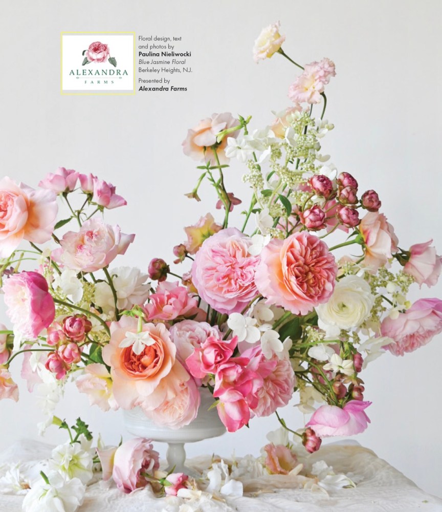 alexandra farms final picture