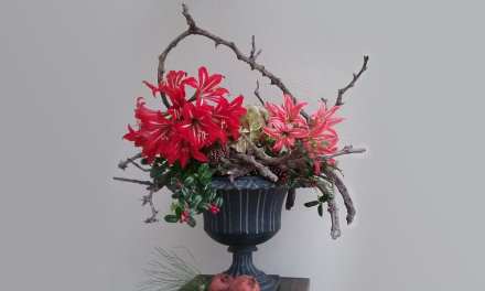 The American Floral Trends Forecast – Holiday Trends