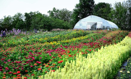 Cultivating Relationships with Flower Farmers