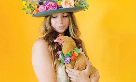 Submission For Creative Pet Florals