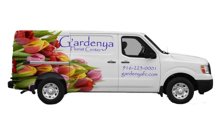 A Picture Worth a Thousand Customers