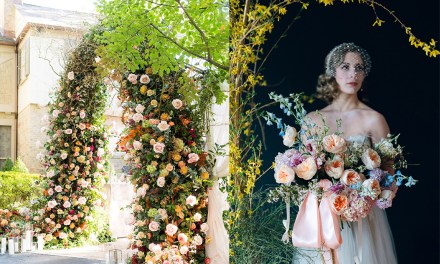 Winners of the Alexandra Farms Garden Rose Design Contest