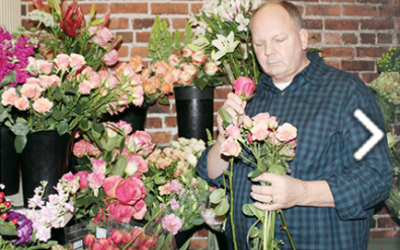 Celebrating 40 years