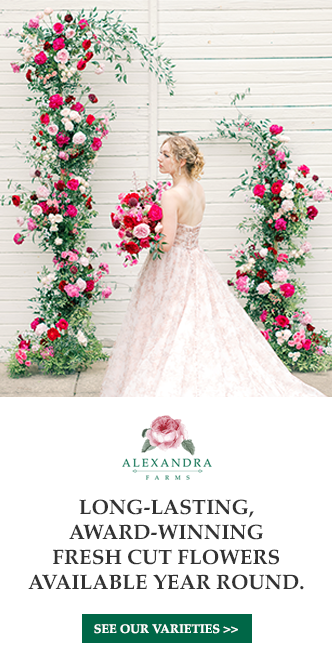 FR-web-skyscraper5 Next Gen LIVE! - safnow.org