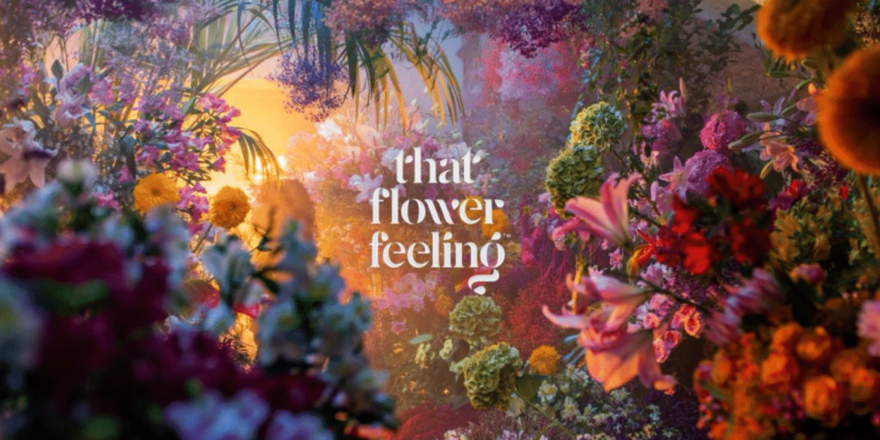 That Flower Feeling to Host Industry Webinar