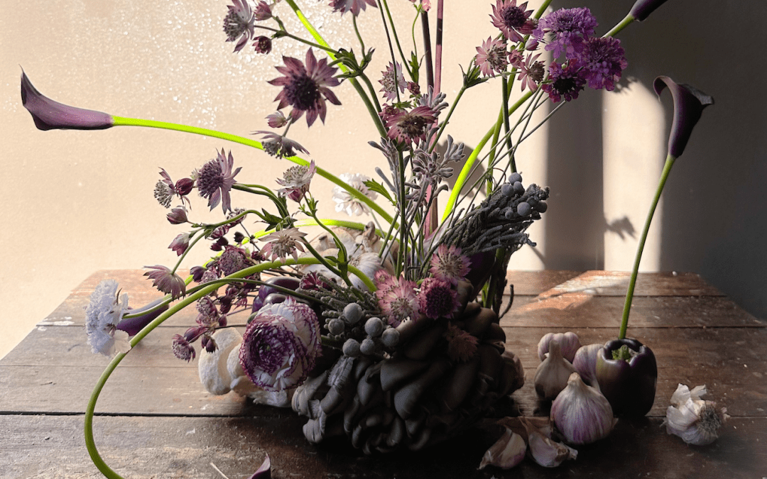 Fungi Fusion Tutorial