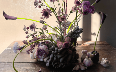 Fungi Fusion Tutorial