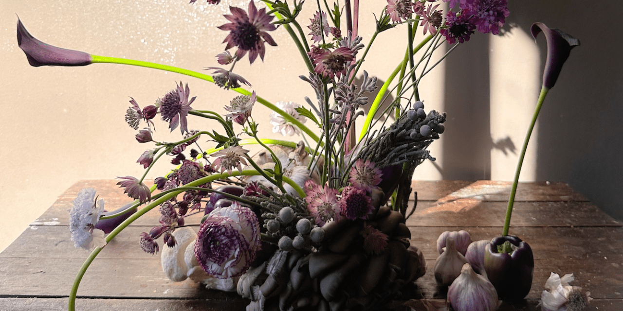 Fungi Fusion Tutorial