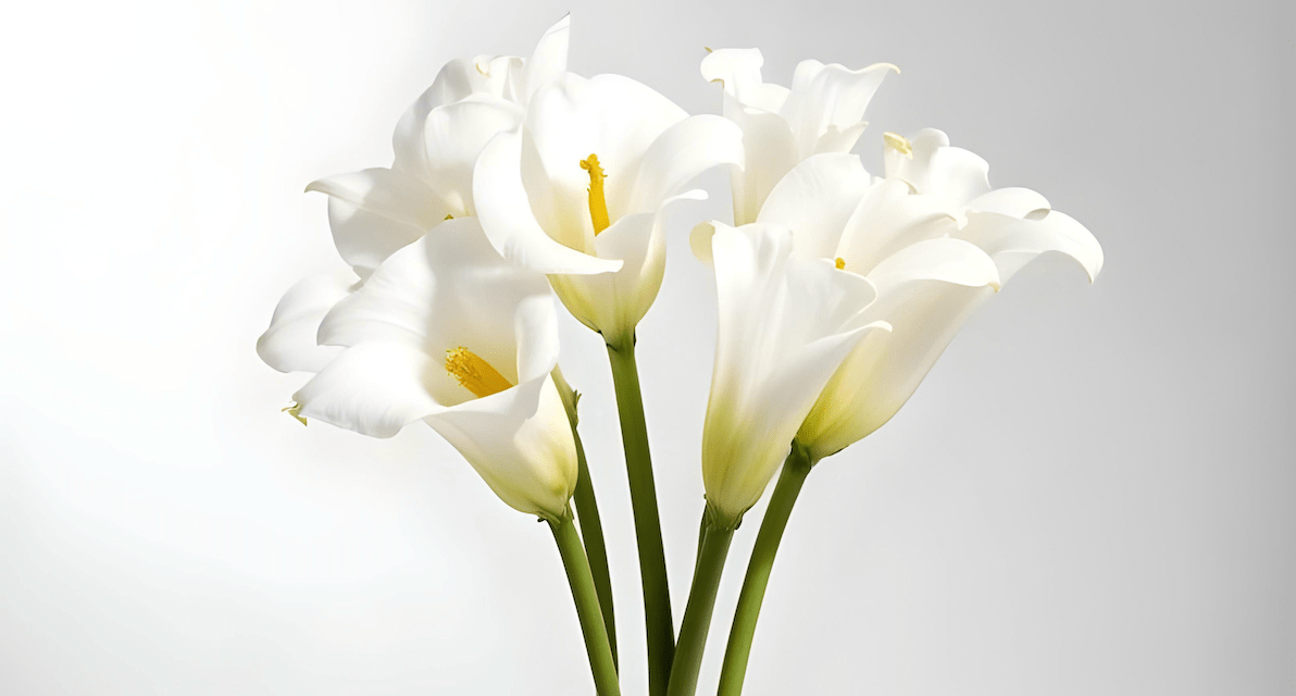 What to Do with Broken Flowers  